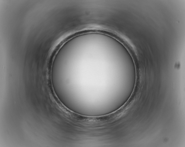 X0000090701318200707200919