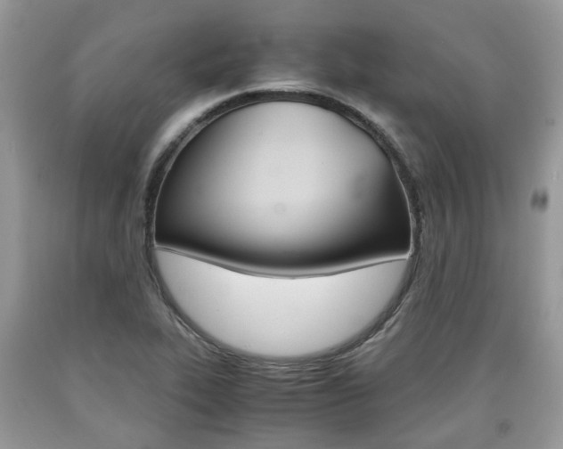 X0000090701319200707200919