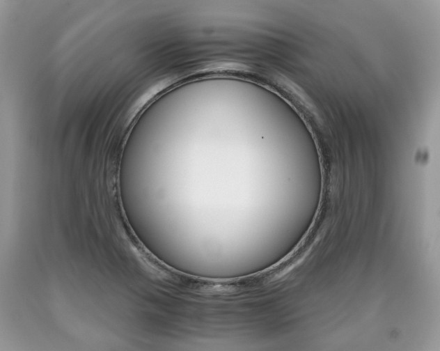 X0000090701321200707200920