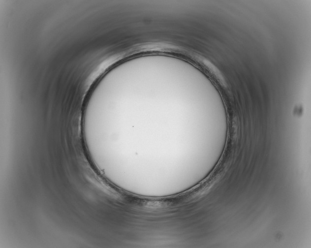 X0000090701322200707200920