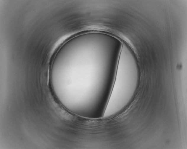 X0000090701323200707200920