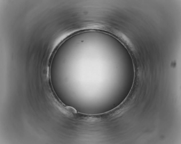 X0000090701324200707200920