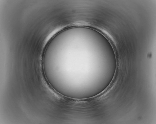 X0000090701325200707200920