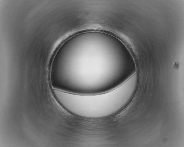 X0000090701326200707200920