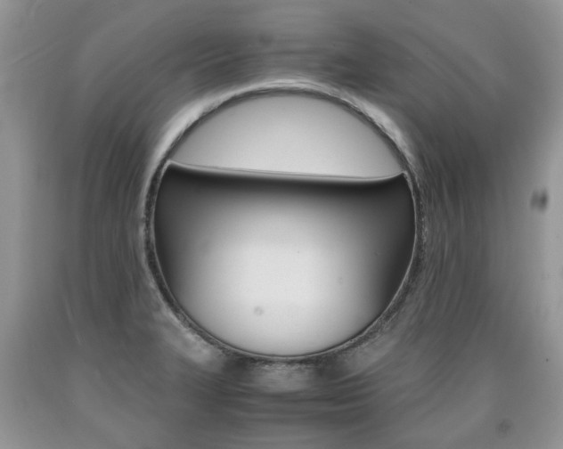 X0000090701327200707200920