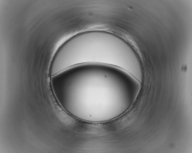 X0000090701328200707200920