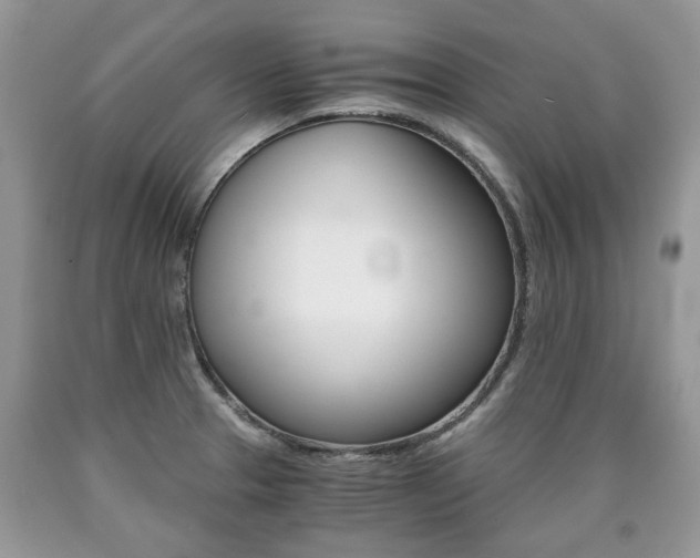 X0000090701329200707200920