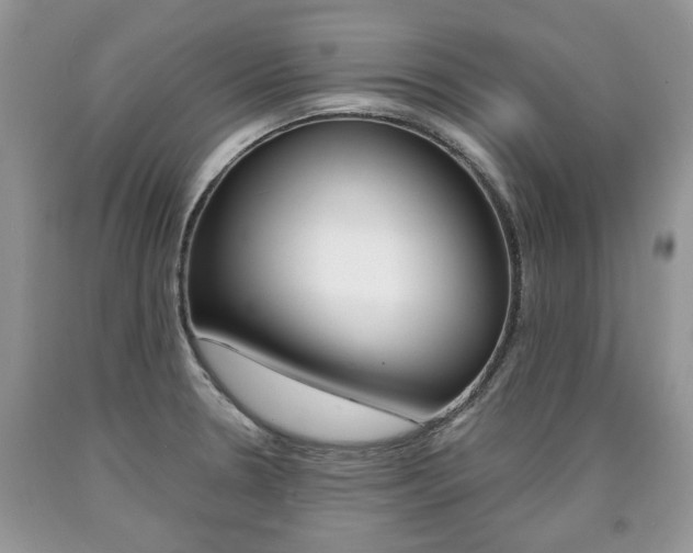X0000090701330200707200920
