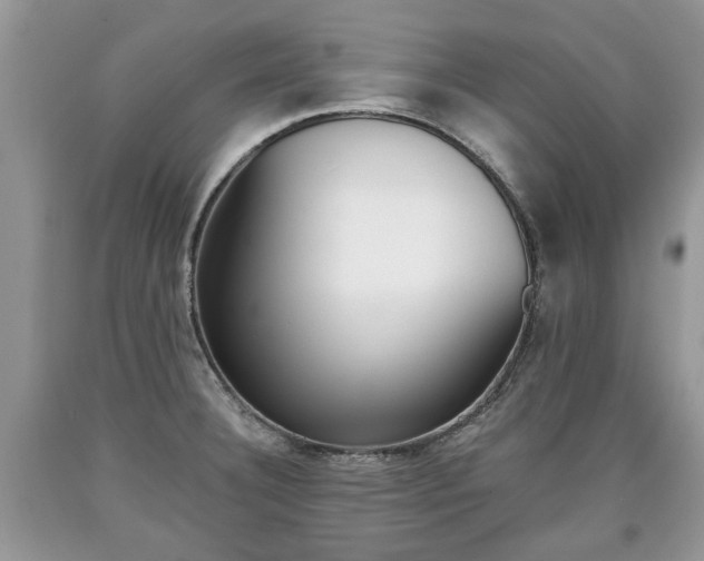 X0000090701332200707200920