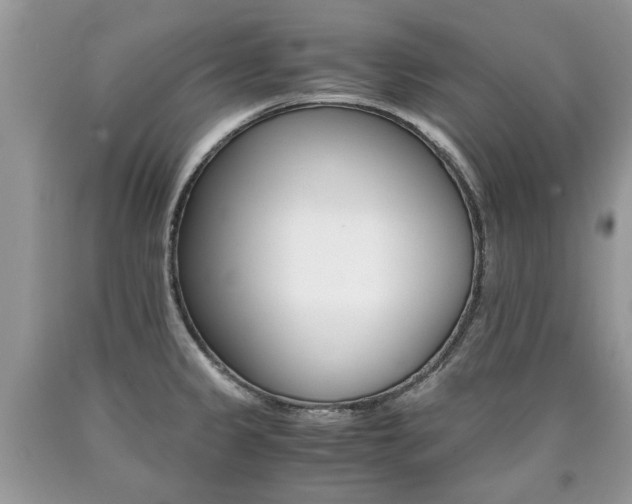 X0000090701333200707200920