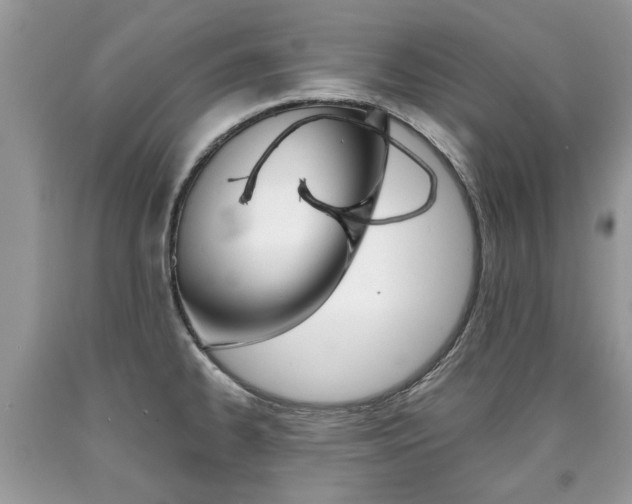 X0000090701334200707200920