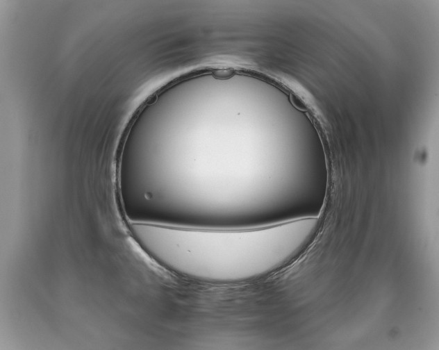 X0000090701335200707200920