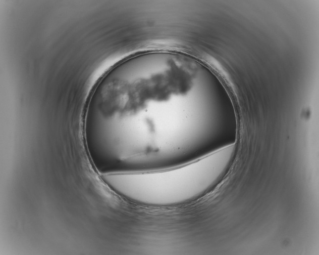 X0000090701336200707200920