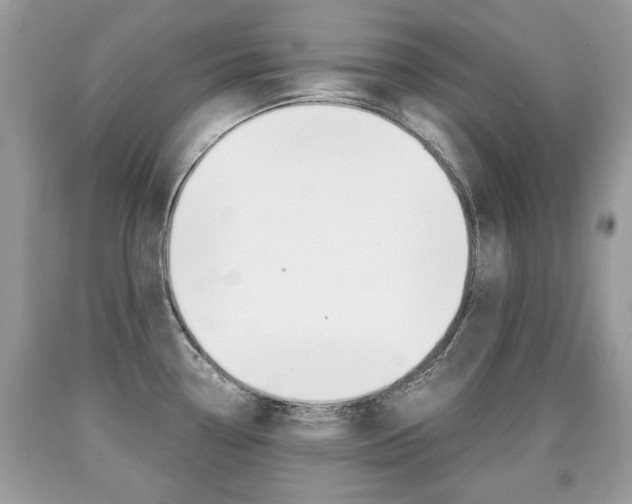 X0000090701338200707200920