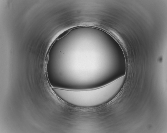 X0000090701340200707200920