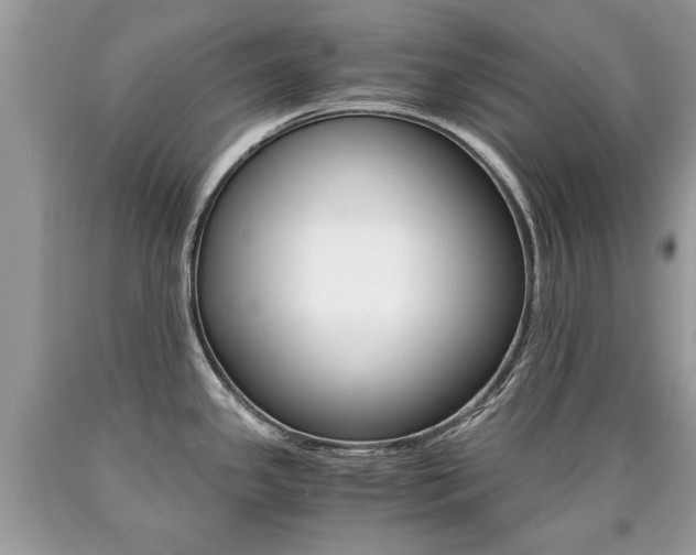 X0000090701341200707200920