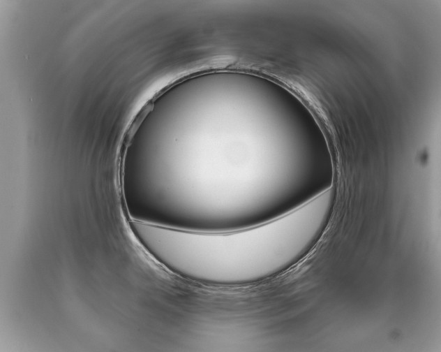 X0000090701342200707200920