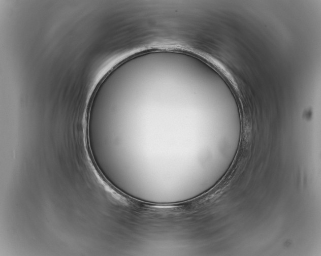 X0000090701343200707200920