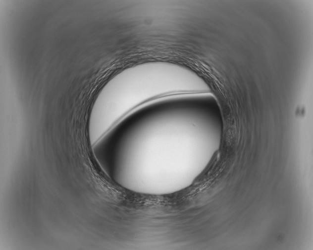 X0000090701345200707200919