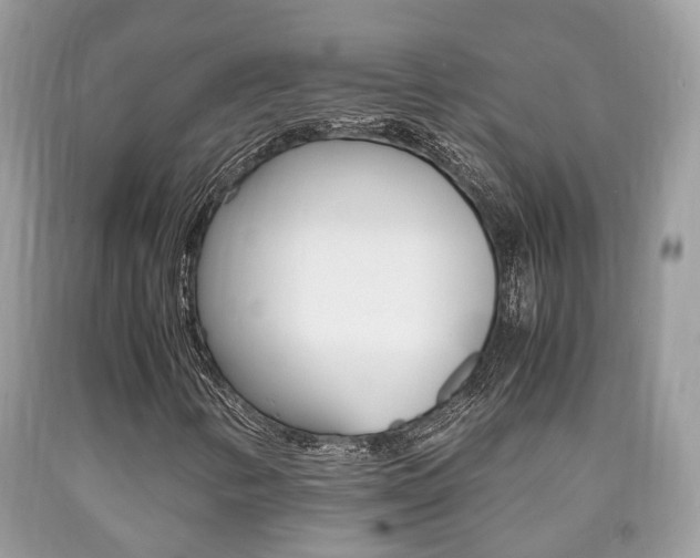 X0000090701346200707200919
