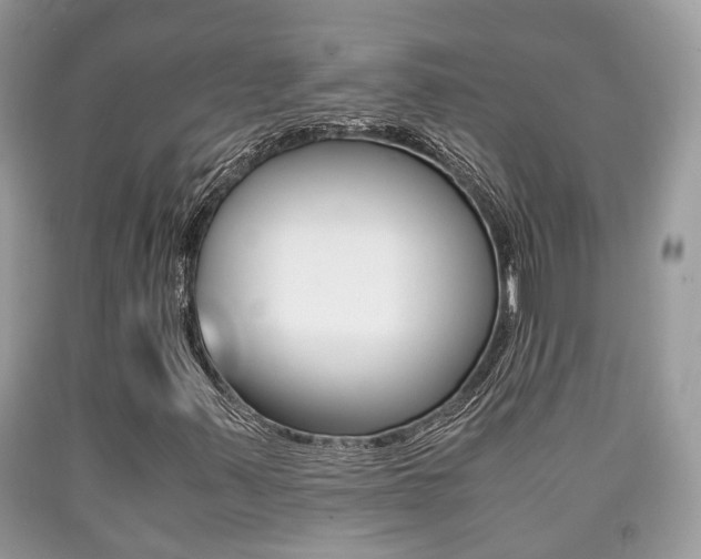 X0000090701347200707200919