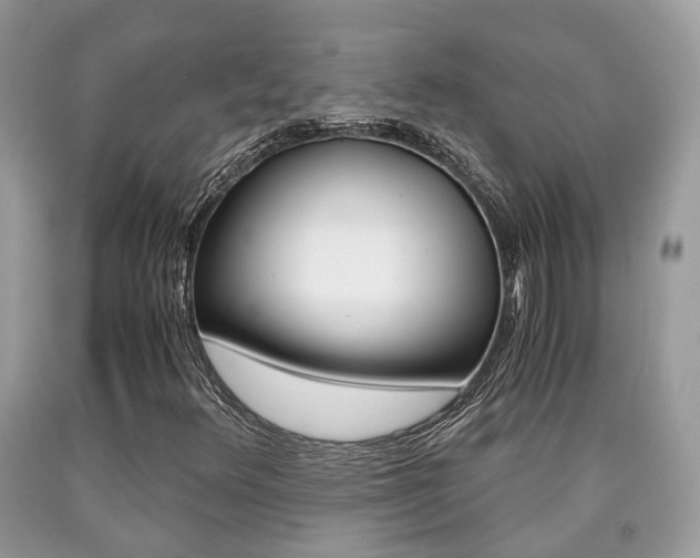 X0000090701348200707200919