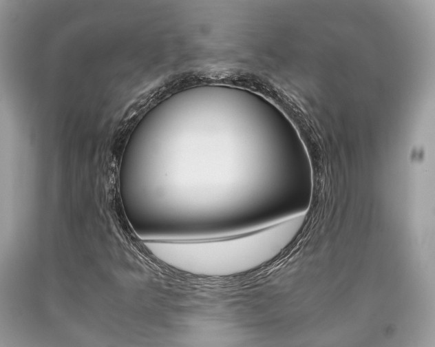 X0000090701349200707200919