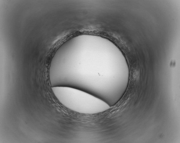 X0000090701350200707200919