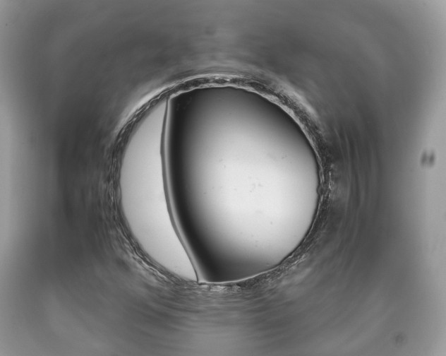 X0000090701352200707200919