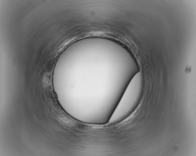 X0000090701353200707200919