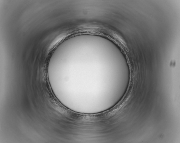 X0000090701354200707200919