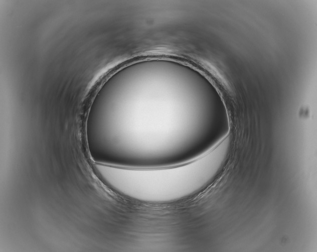 X0000090701356200707200919