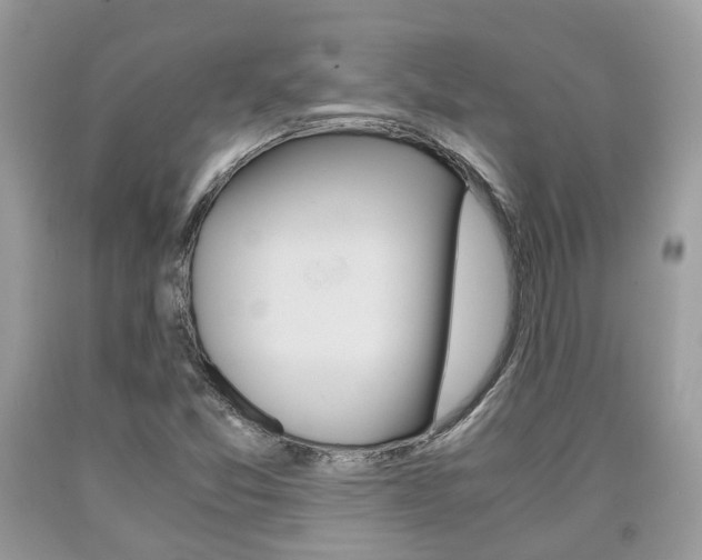 X0000090701357200707200919