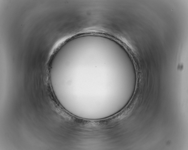 X0000090701358200707200919