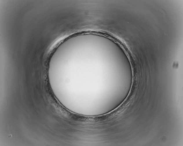 X0000090701359200707200919