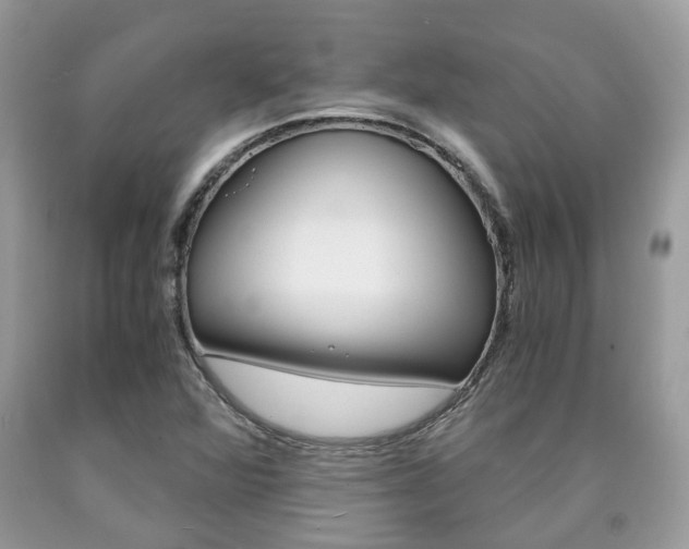 X0000090701360200707200919