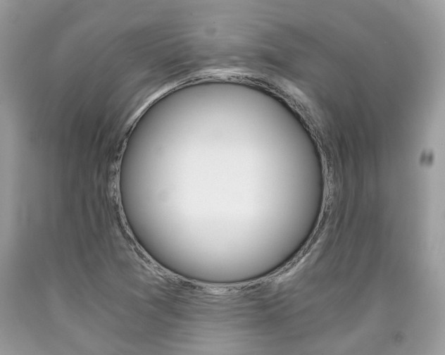 X0000090701361200707200919