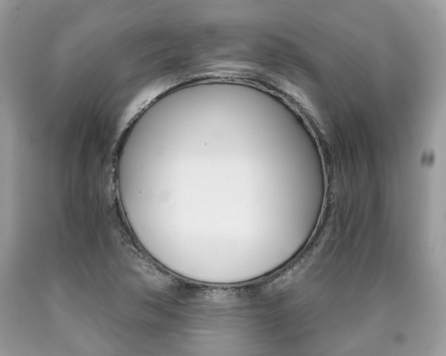 X0000090701362200707200919