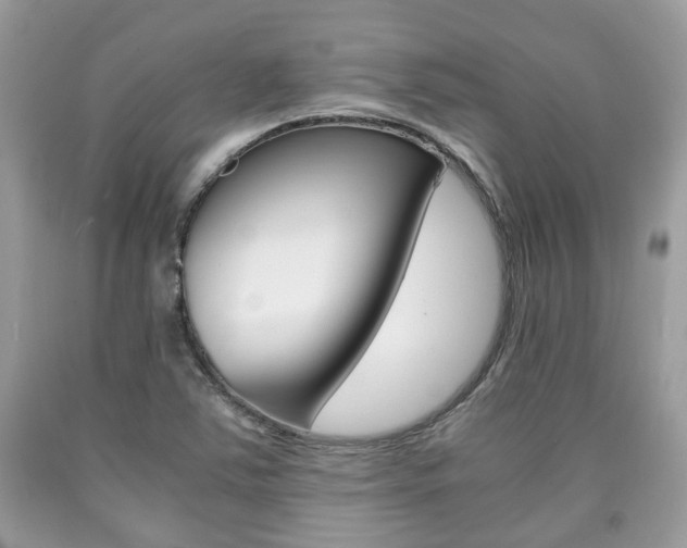 X0000090701363200707200919