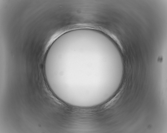 X0000090701365200707200919