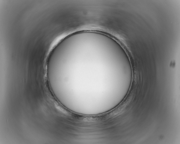 X0000090701366200707200919