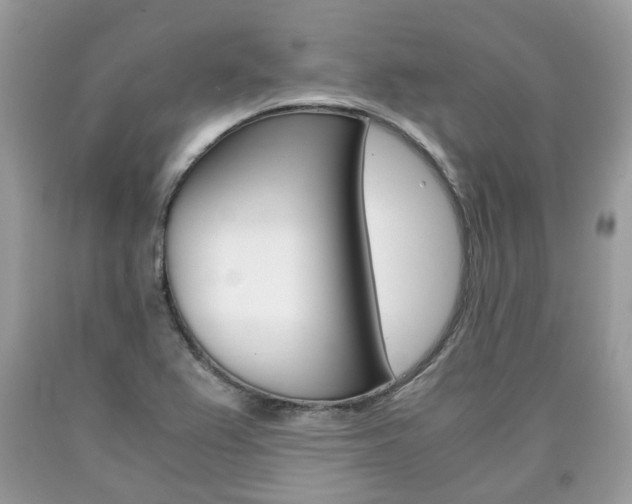 X0000090701367200707200919