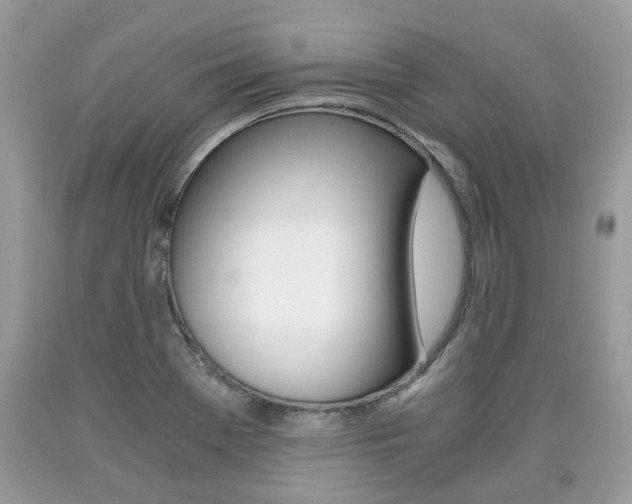 X0000090701369200707200919