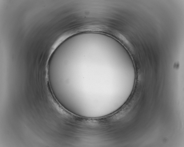X0000090701370200707200919