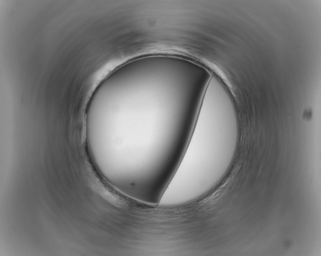 X0000090701371200707200919