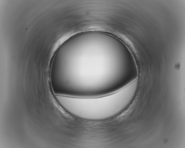 X0000090701373200707200919