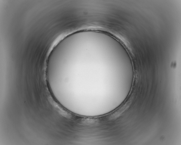 X0000090701374200707200919