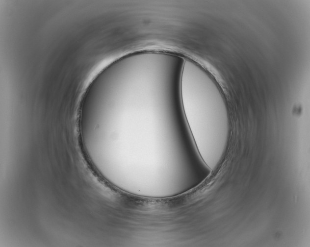 X0000090701375200707200919