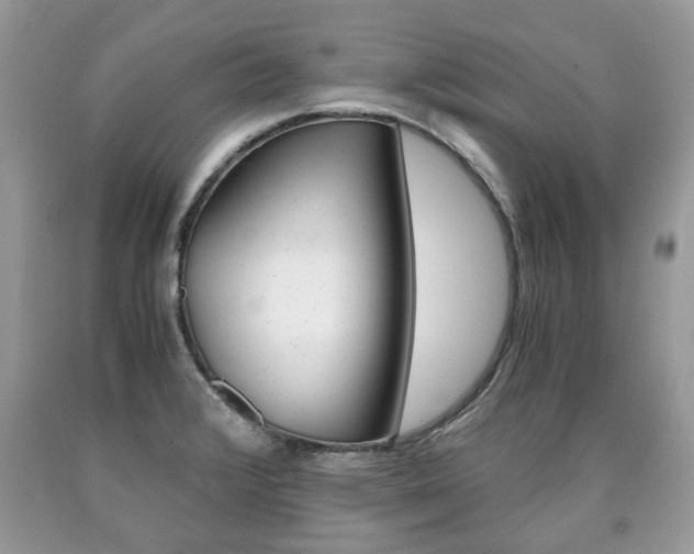 X0000090701376200707200919