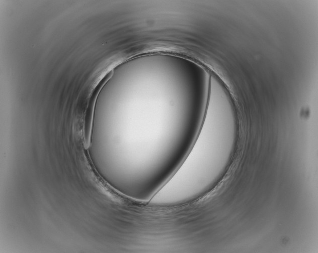 X0000090701377200707200919